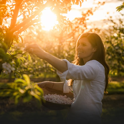 Boann Distillery Family Orchard