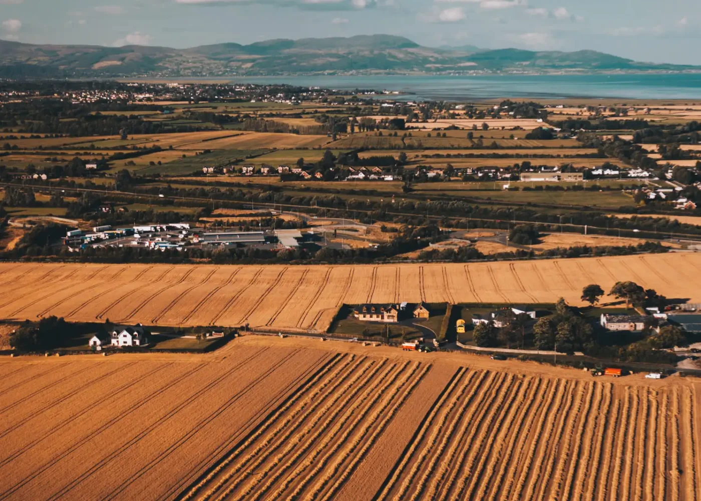 Barley landscape