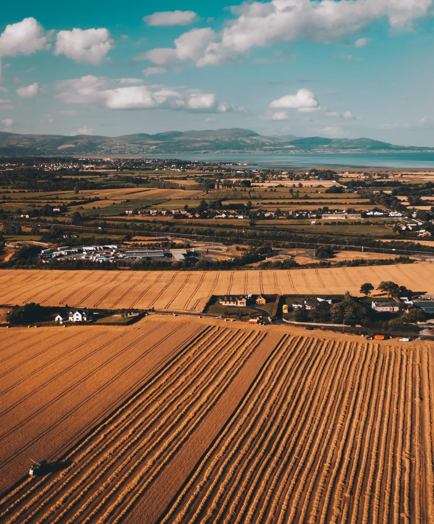 Barley landscape