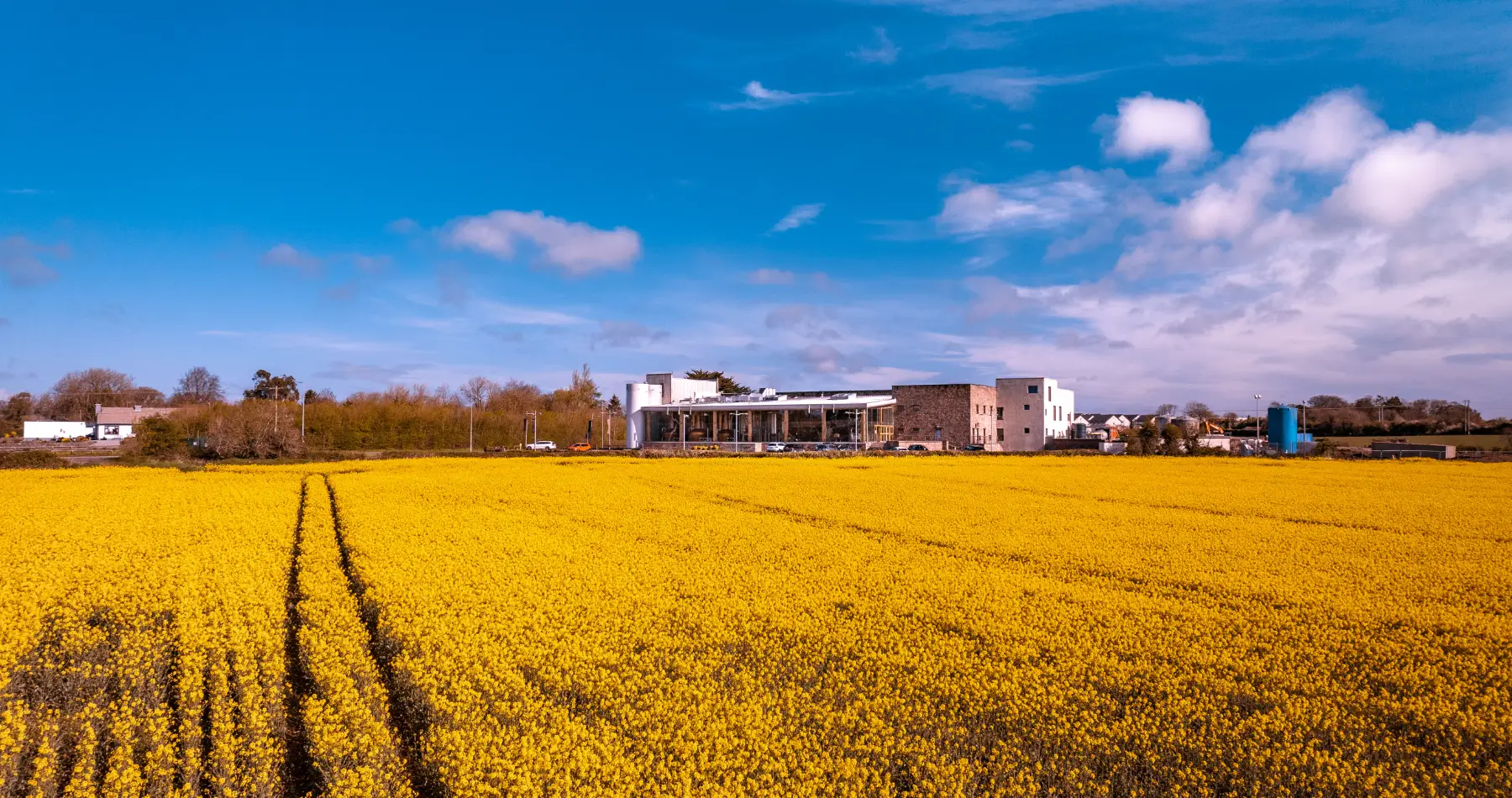 distillery landscape field